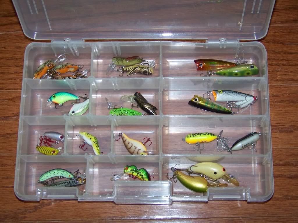 Shore Fishing Setup Pond Boss Forum